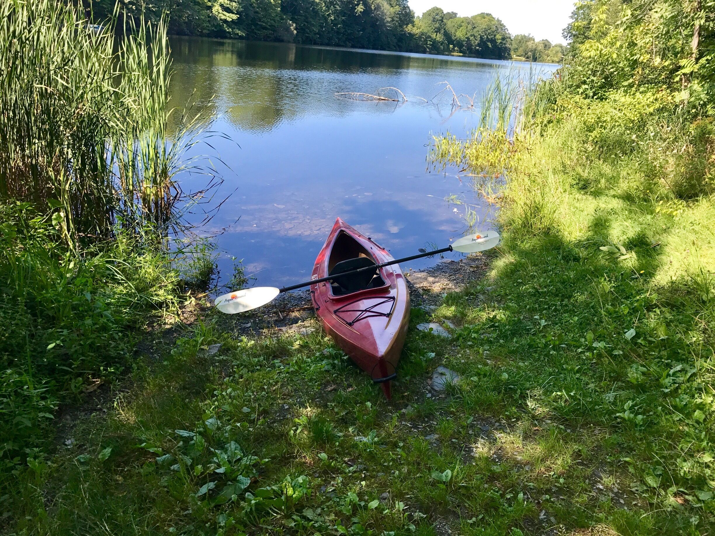 A red kayak with a paddle on the shore of a calm lake surrounded by greenery.