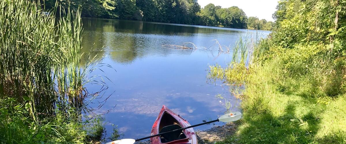 A red kayak with a paddle on the shore of a calm lake surrounded by greenery.
