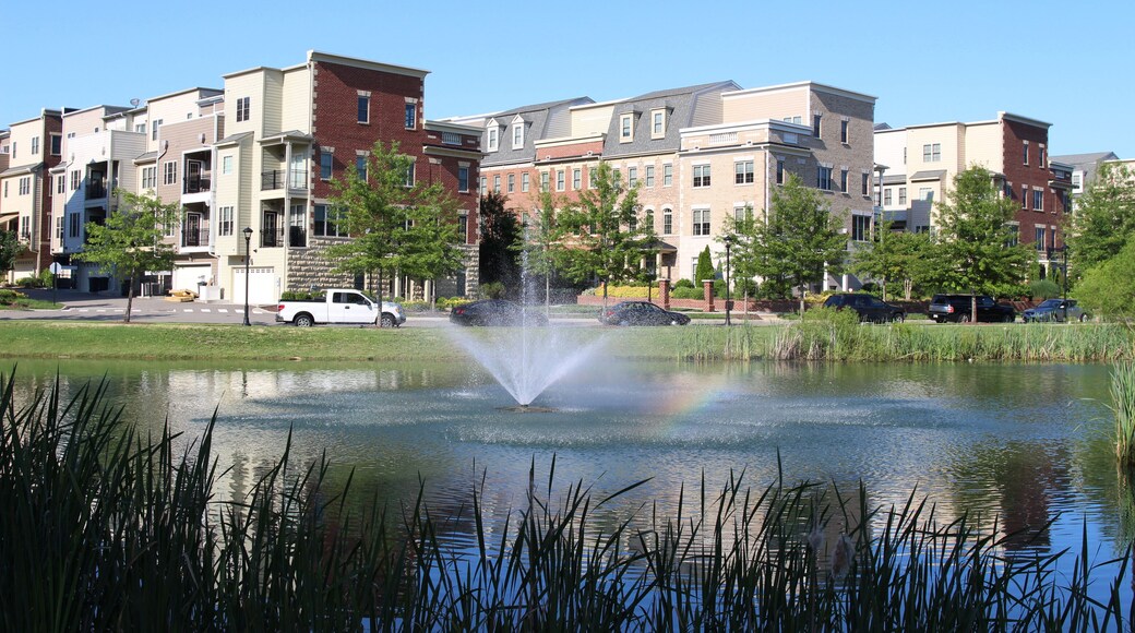 A pond with a fountain at modern townhouses in the summer. Richmond suburbs, Virginia