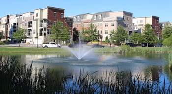 A pond with a fountain at modern townhouses in the summer. Richmond suburbs, Virginia
