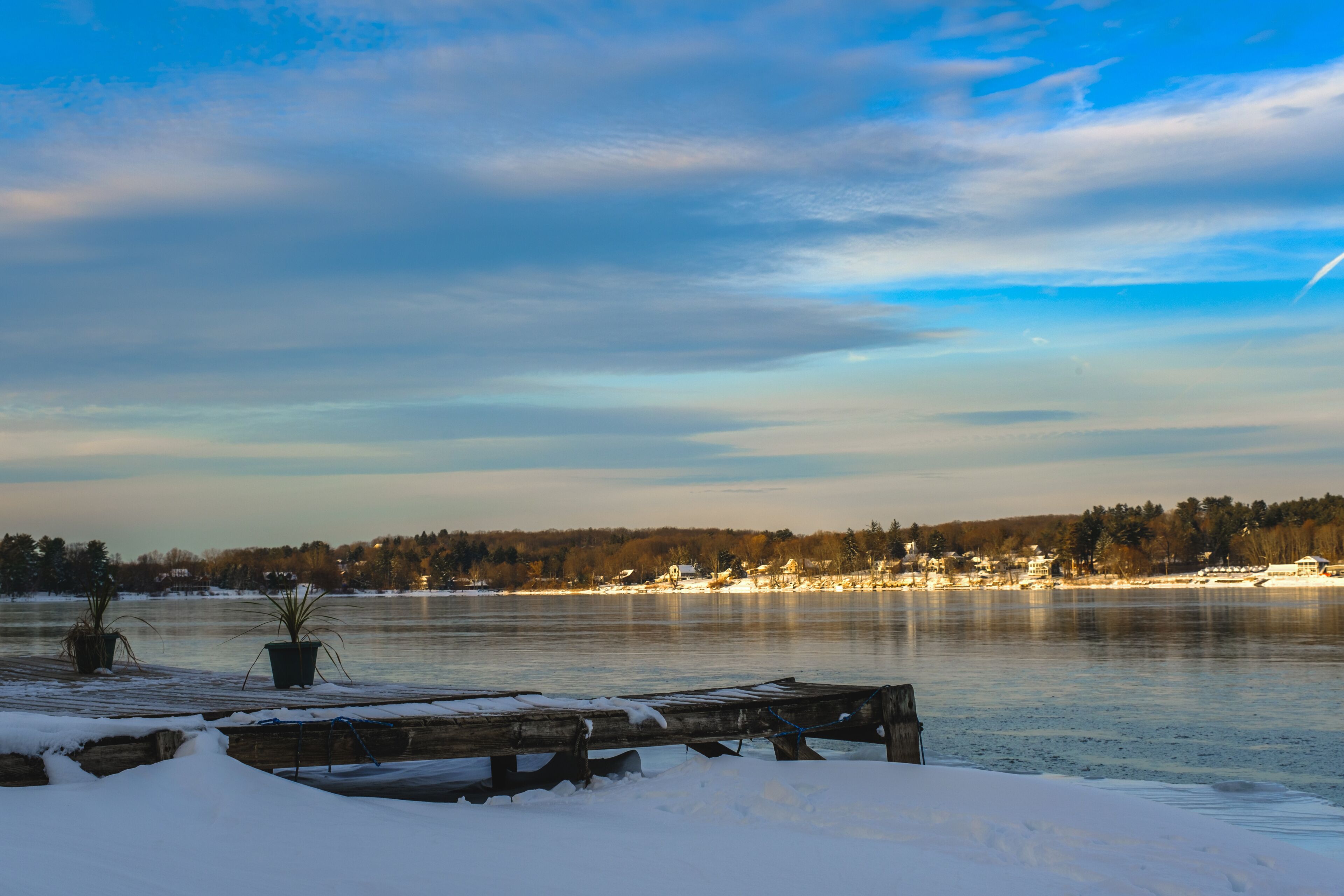 A frozen lake with a wooden dock and potted plants in the foreground, surrounded by trees and buildings in the background.