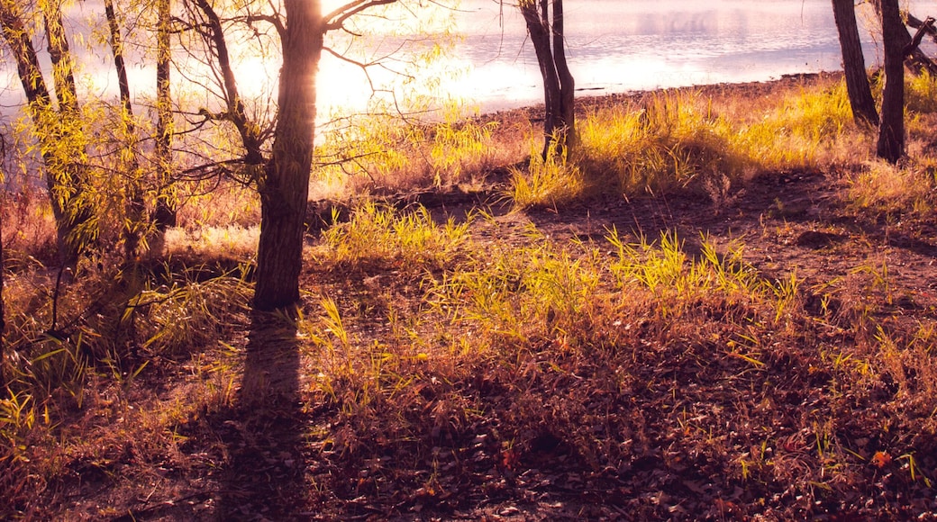 Autumn colors on Lake Champlain, Vermont.
