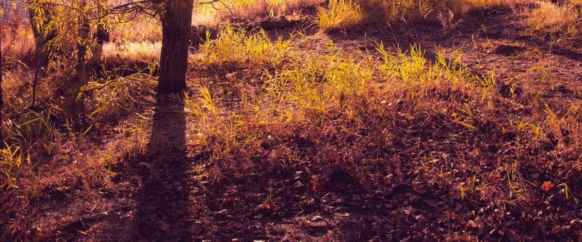 Autumn colors on Lake Champlain, Vermont.