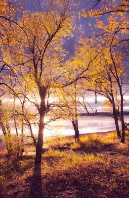 Autumn colors on Lake Champlain, Vermont.