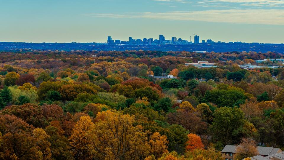 Tyson's Corner in the Distance