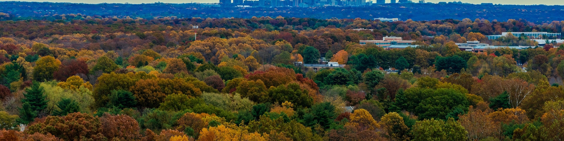 Tyson's Corner in the Distance