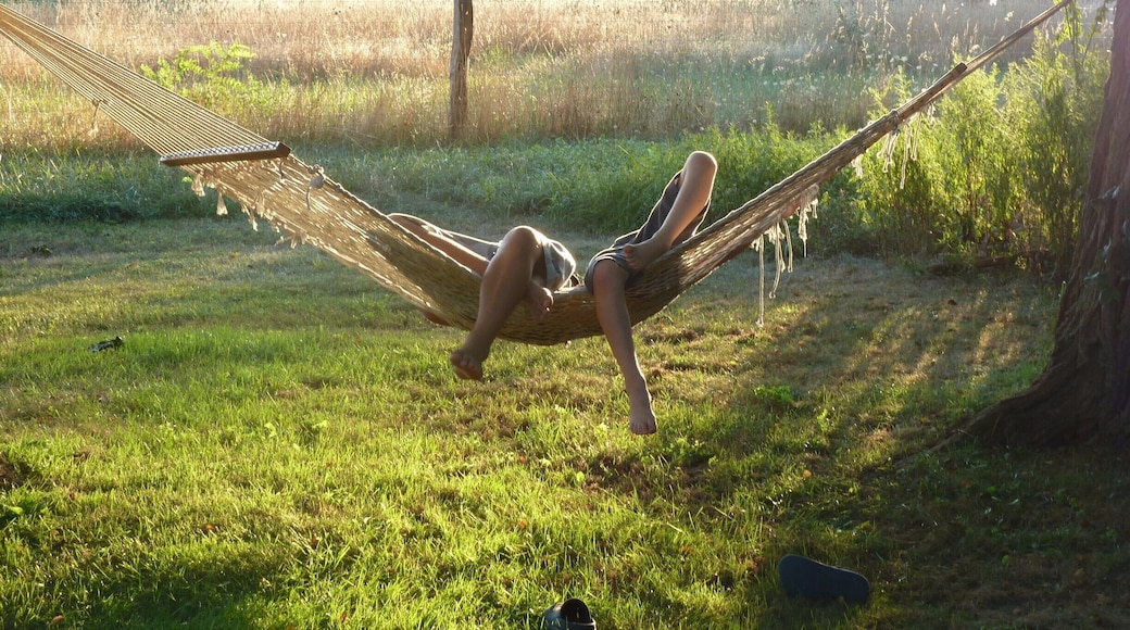 A summer evening on Long Island