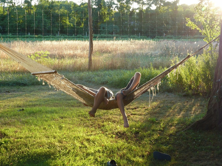 A summer evening on Long Island