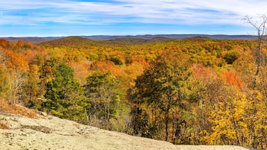 Un paysage montagneux boisé aux couleurs automnales.