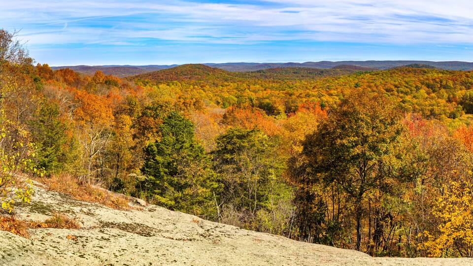 A forested mountain landscape with autumn foliage.