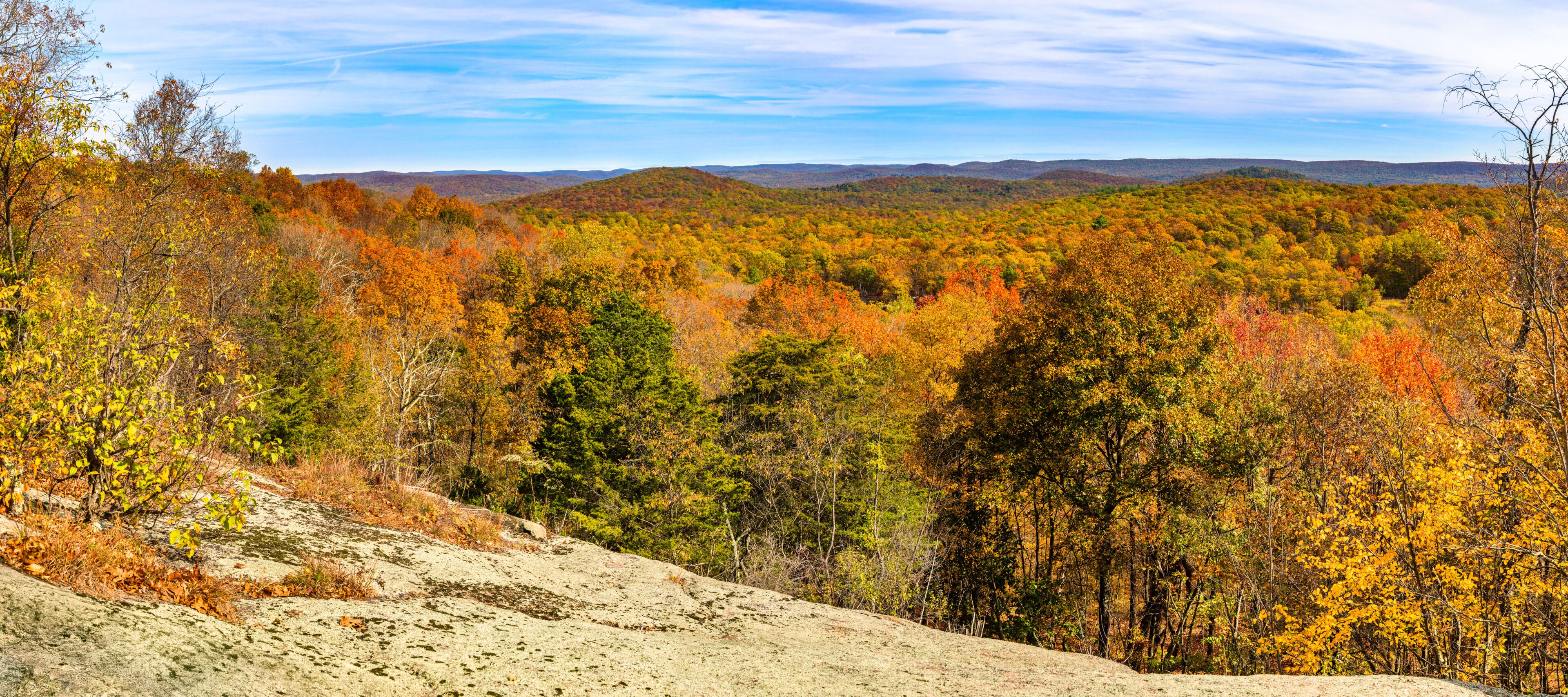 A forested mountain landscape with autumn foliage.