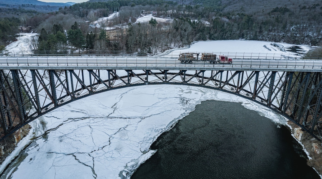 Un ponte sopra un fiume ghiacciato, circondato da colline boscose.