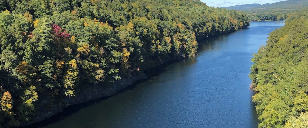 A river winding through a densely forested valley with hills on either side.