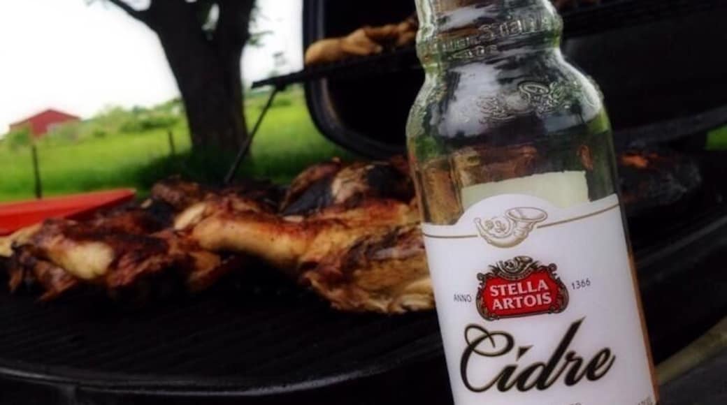 backyard barbecue, yum!