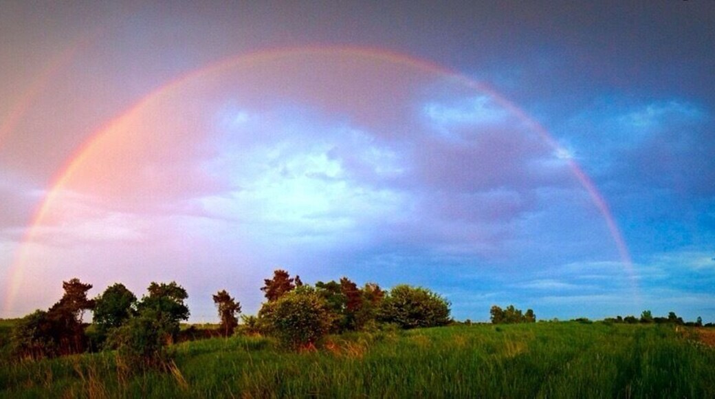 worth getting caught in the rain.