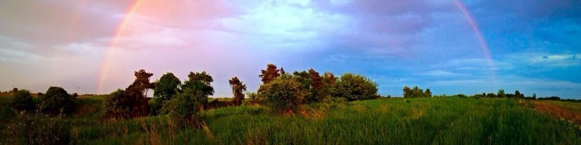 worth getting caught in the rain.