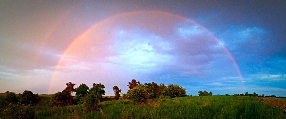 A rainbow over a grassy field with trees.