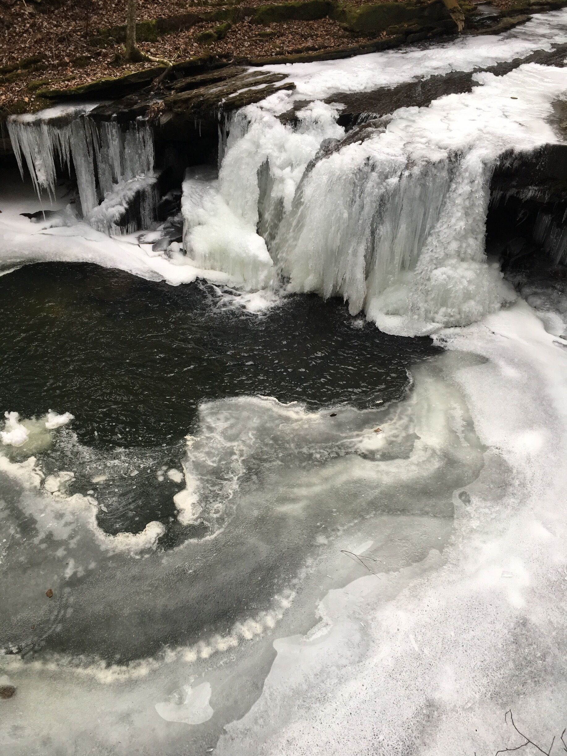 On the Grundy Day Loop on the Fiery Gizzard. The frozen waterfalls were so pretty and worth getting out in the cold to see!