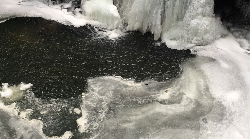 On the Grundy Day Loop on the Fiery Gizzard. The frozen waterfalls were so pretty and worth getting out in the cold to see!