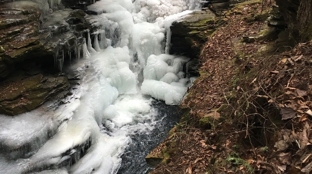 Pictures don't do these waterfalls justice to how pretty they were in person!