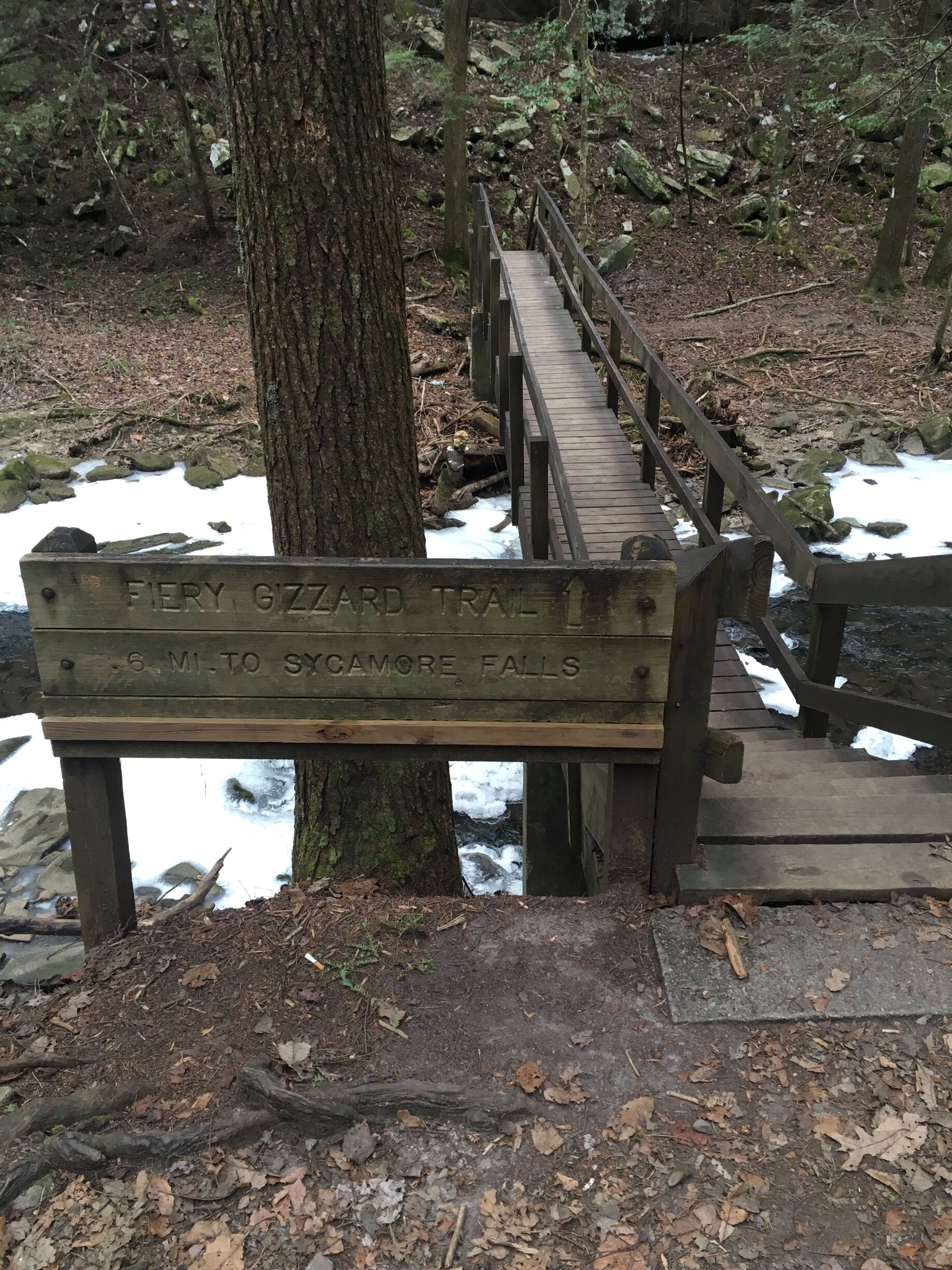 Not far off the day loop is Sycamore Falls