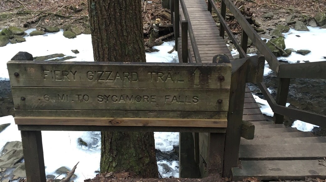 Not far off the day loop is Sycamore Falls