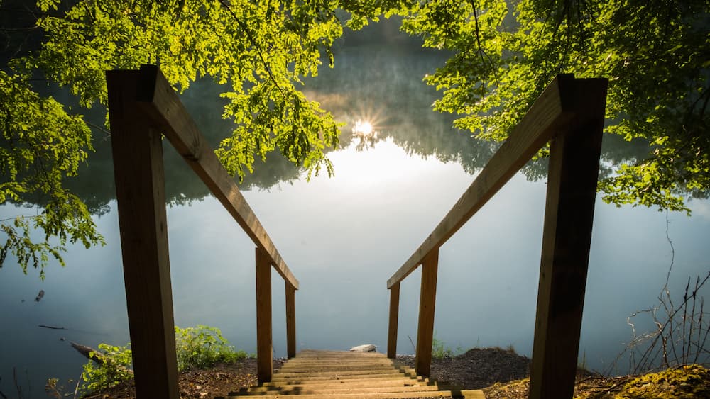 A wooden staircase leading down to a body of water, surrounded by trees and mist.