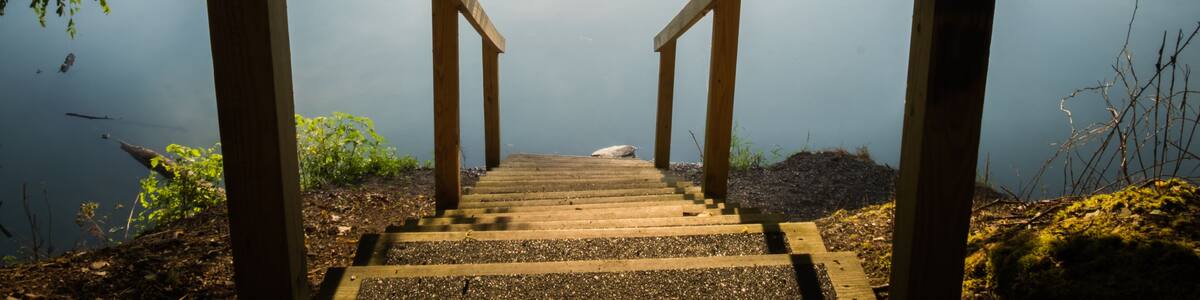A wooden staircase leading down to a body of water, surrounded by trees and mist.