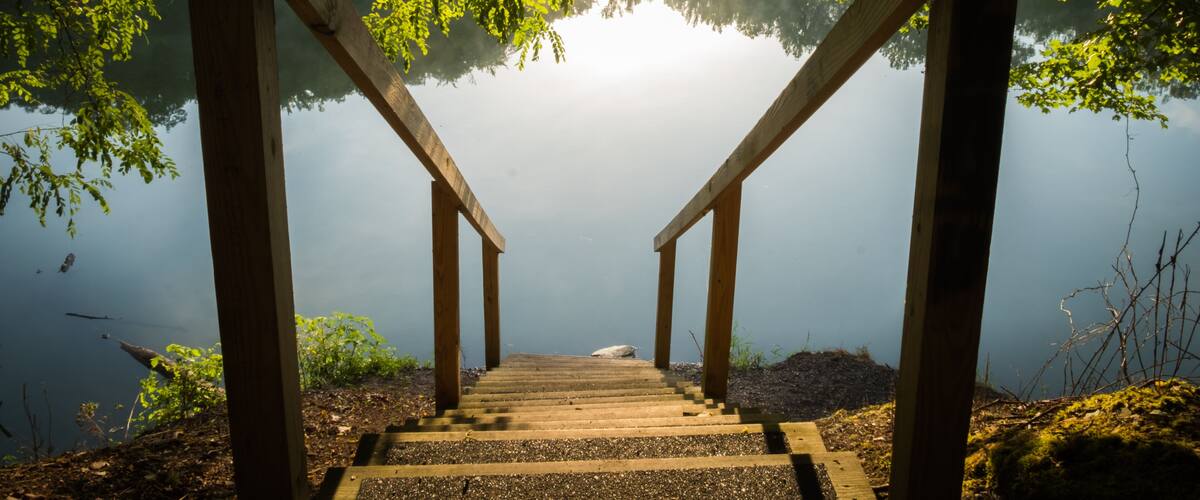 A wooden staircase leading down to a body of water, surrounded by trees and mist.