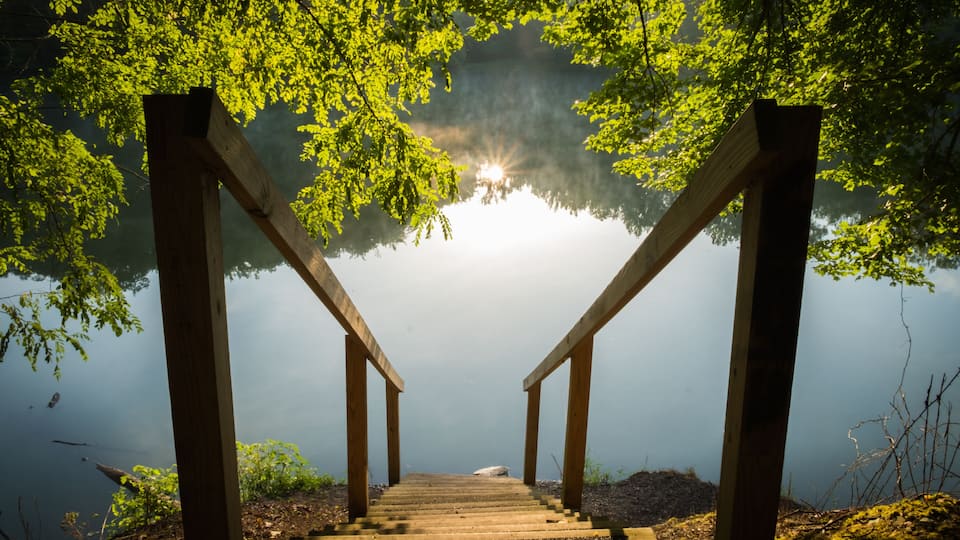 A wooden staircase leading down to a body of water, surrounded by trees and mist.