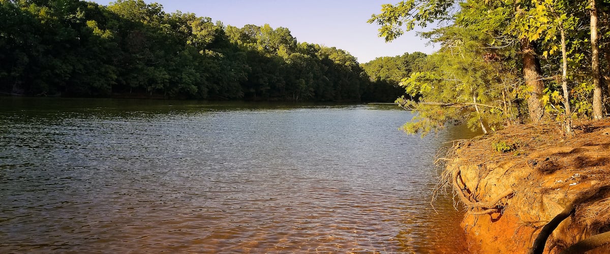 A river with clear water, surrounded by dense forest and a rocky bank.