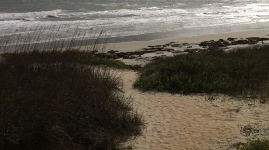 A very nice stretch of beach and boardwalk. There's usually not a lot of people around. Makes for a nice morning or late evening stroll.