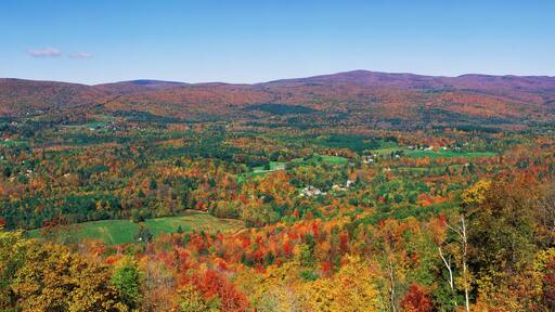 มอนตากิว