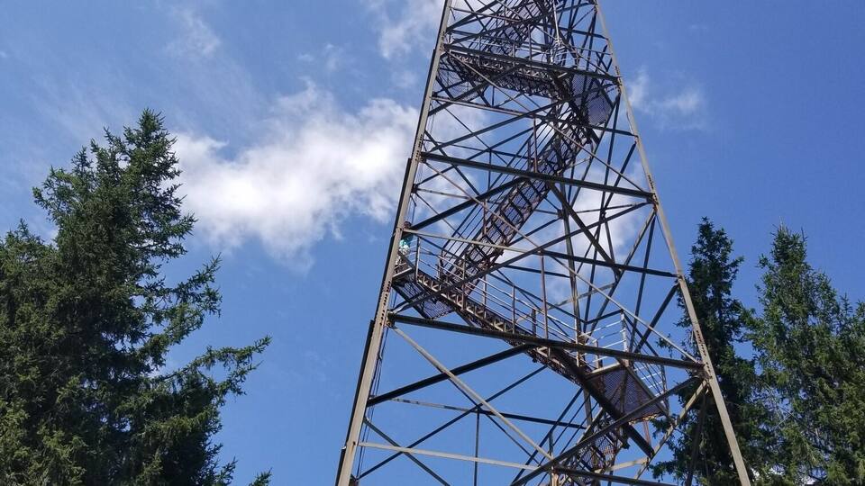 A tall metal tower with a staircase, surrounded by trees and a clear blue sky.