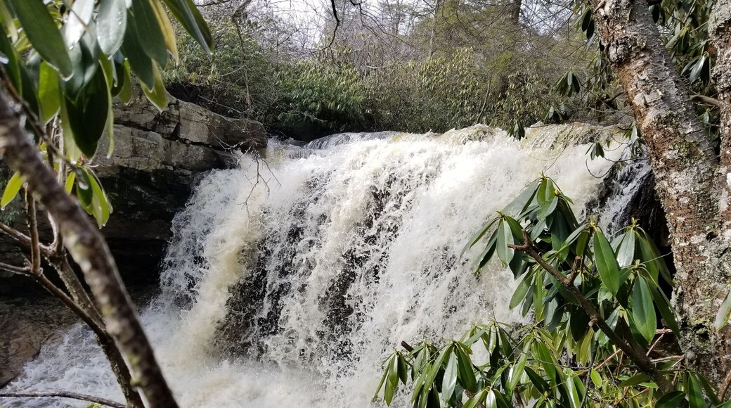 Awesome waterfall near Olsen Firetower, Forrest Rd, Hambleton WV. Smaller sets of falls below it. You can walk behind this waterfall when the water flow is less. This spot in the woods is beautiful.