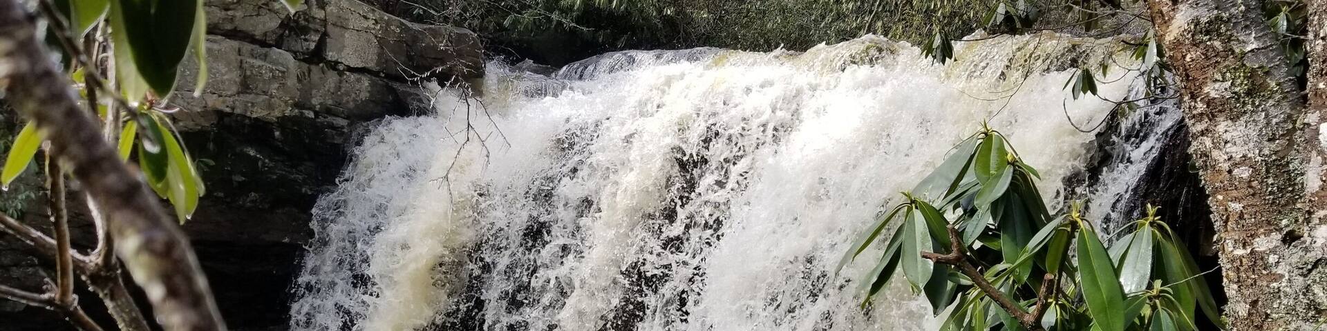 Awesome waterfall near Olsen Firetower, Forrest Rd, Hambleton WV. Smaller sets of falls below it. You can walk behind this waterfall when the water flow is less. This spot in the woods is beautiful.