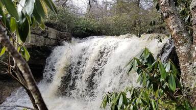 Awesome waterfall near Olsen Firetower, Forrest Rd, Hambleton WV. Smaller sets of falls below it. You can walk behind this waterfall when the water flow is less. This spot in the woods is beautiful.
