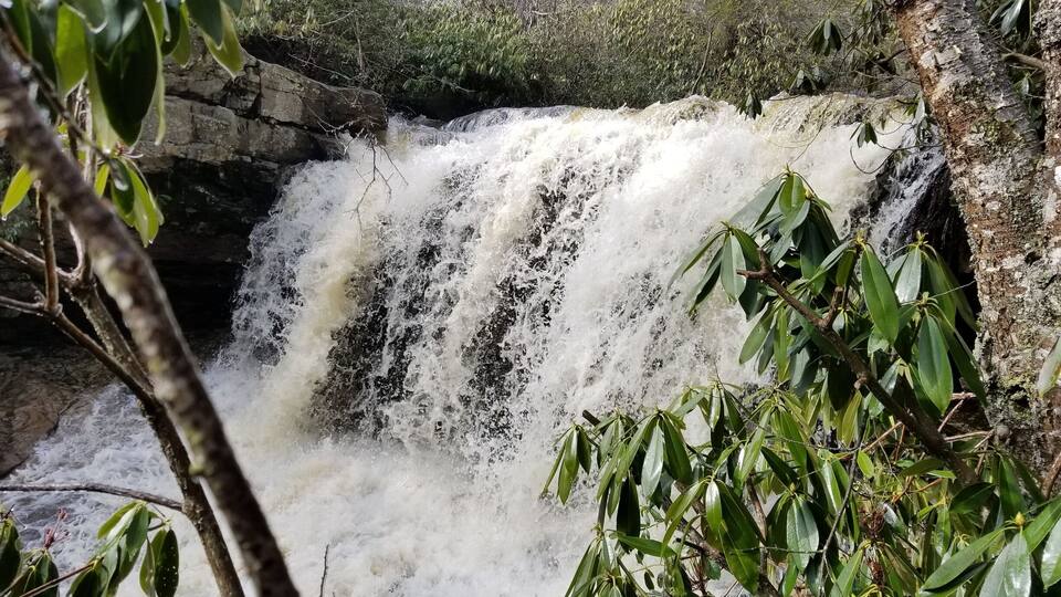 A waterfall cascading over rocks in a forested area.