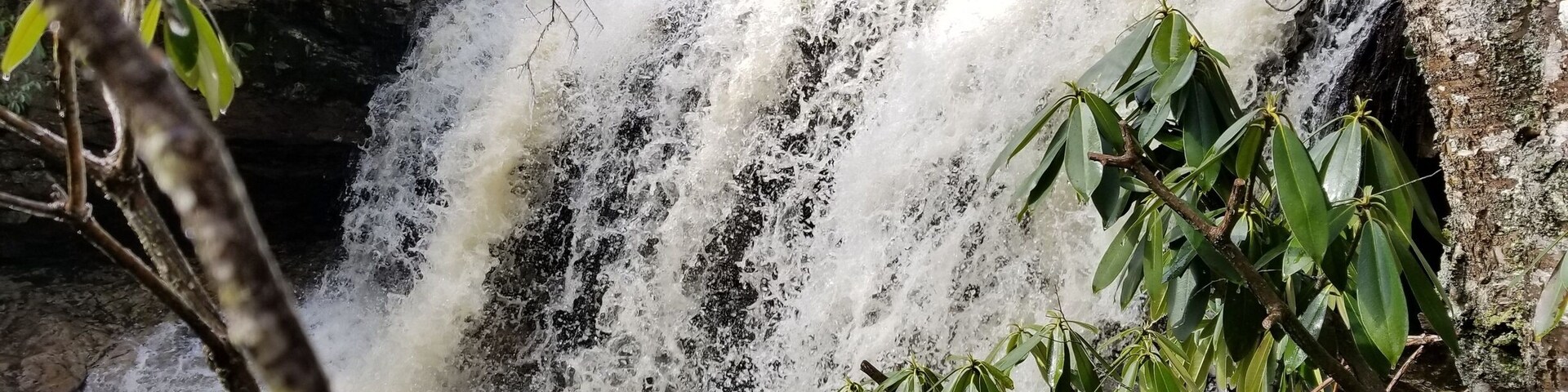 Awesome waterfall near Olsen Firetower, Forrest Rd, Hambleton WV. Smaller sets of falls below it. You can walk behind this waterfall when the water flow is less. This spot in the woods is beautiful.