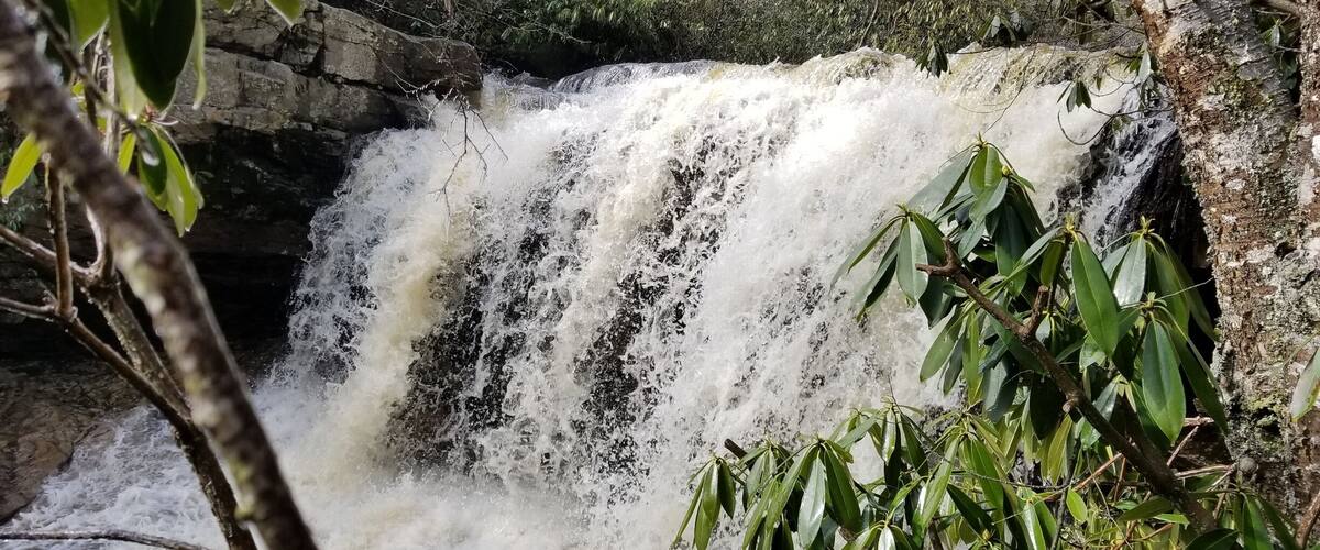 A waterfall cascading over rocks in a forested area.