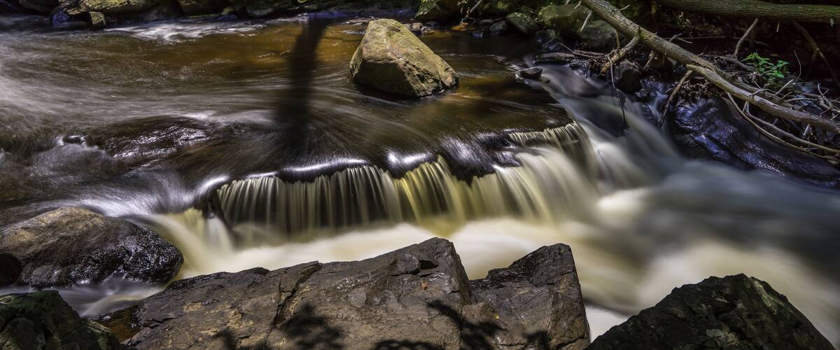 A flowing river with rocks and foliage.