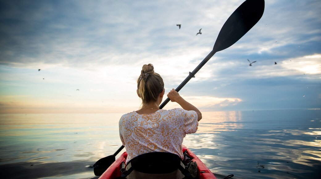 เกาะสมิธ