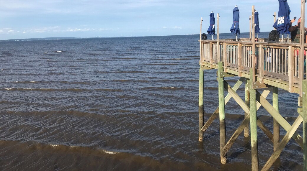 The view of NYC in the distance from the seasonal bar/restaurant, that was Re-built after Hurricane Sandy