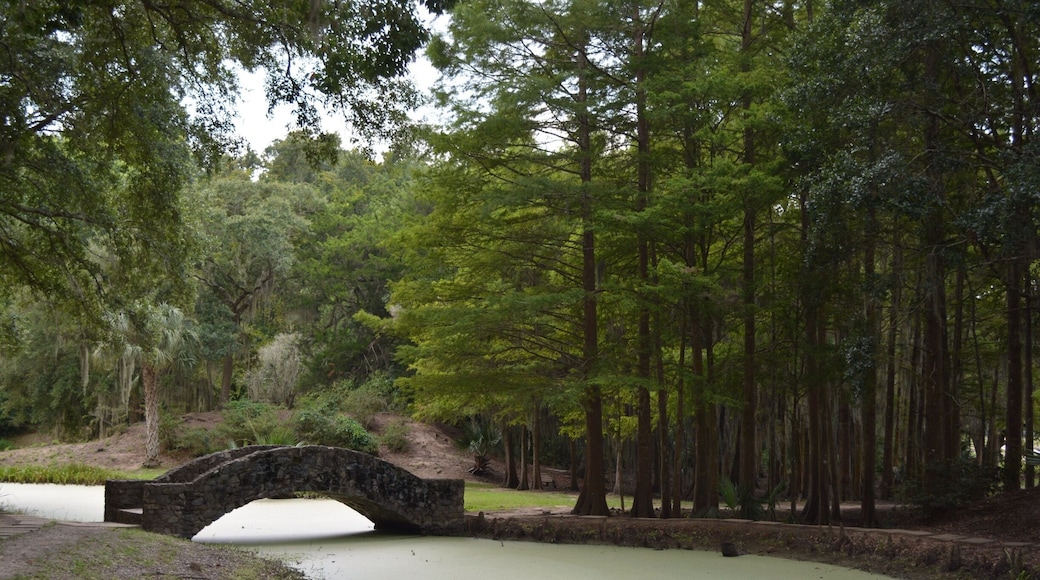 Beautiful park we happen to find