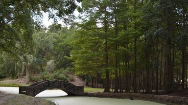 Beautiful park we happen to find