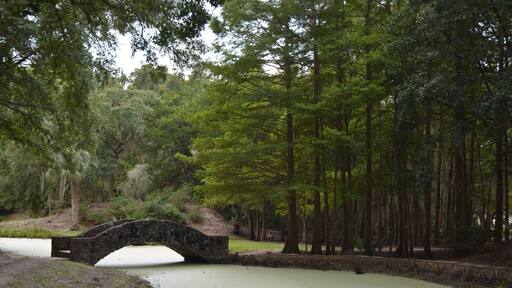 Beautiful park we happen to find