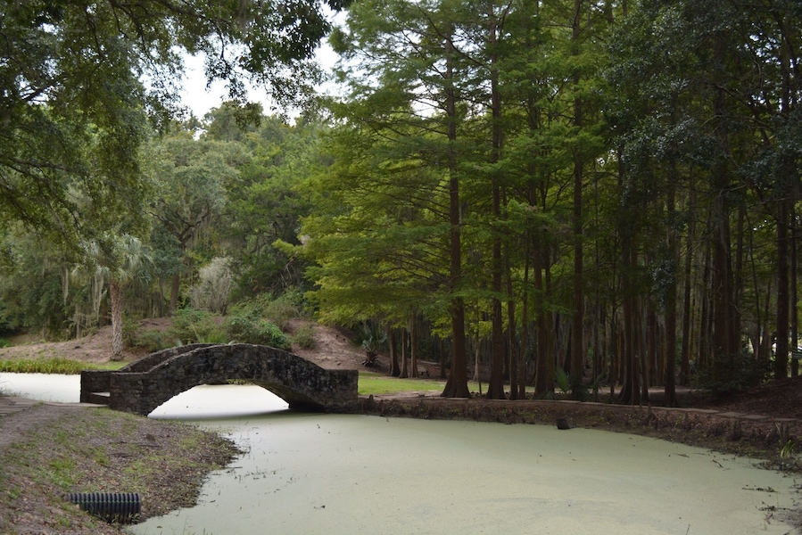 Beautiful park we happen to find