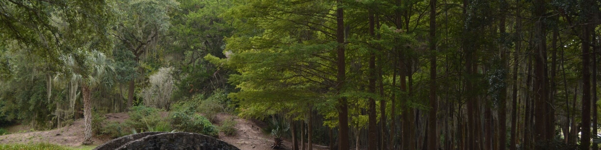 A stone bridge over a pond in a forested area with tall trees.