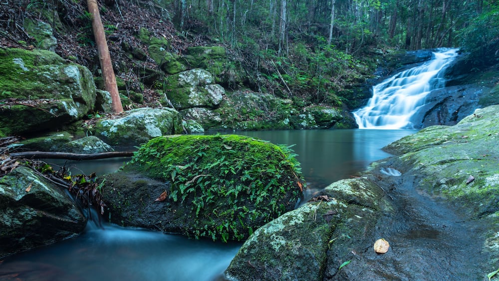 Waterfall at Kondalilla Waterfalls, Montville, Australia