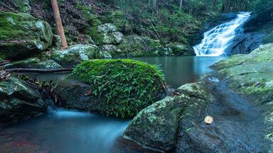 Waterfall at Kondalilla Waterfalls, Montville, Australia